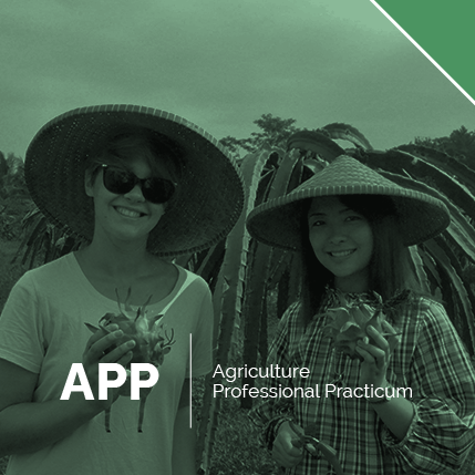 Agriculture Professional Practicum (APP)