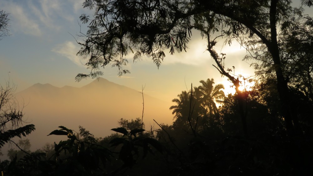 Tips and Tricks for Studying in Bali
