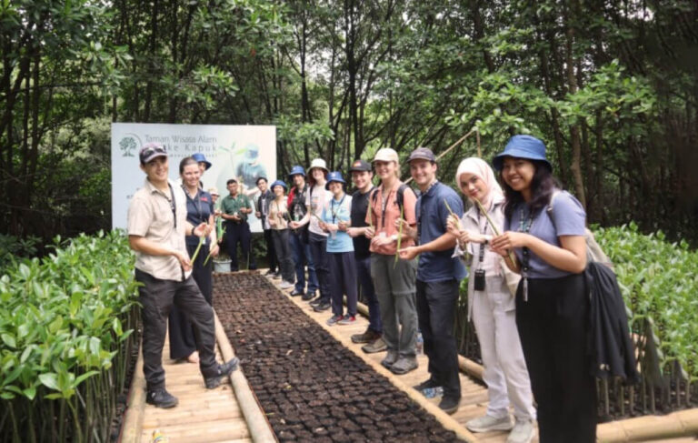 First Insights from the Acicis Alumni Tracer Study