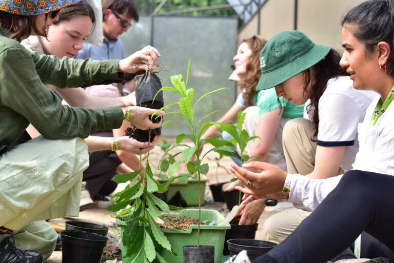 Cultivating Knowledge, Building Bridges: Agriculture Professional Practicum November-December 2025 Wrap-up